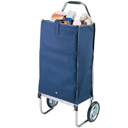 Deluxe Foldaway Carryall-303208