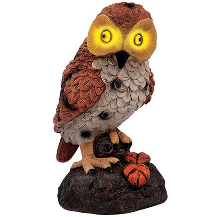 Hooting Garden Owl-369702