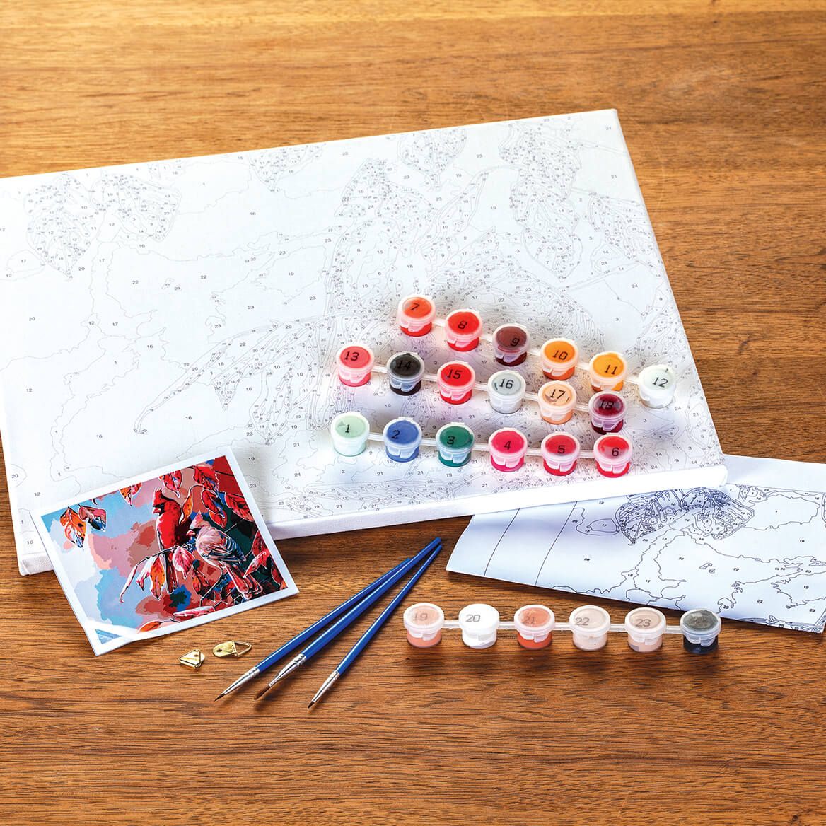 DIY Paint-by-Number Set + '-' + 372840