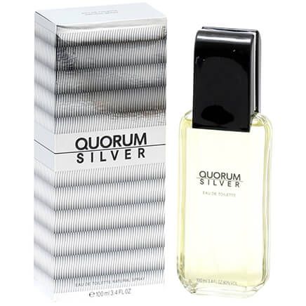Quorum Silver by Puig for Men EDT, 3.4 oz.-373141