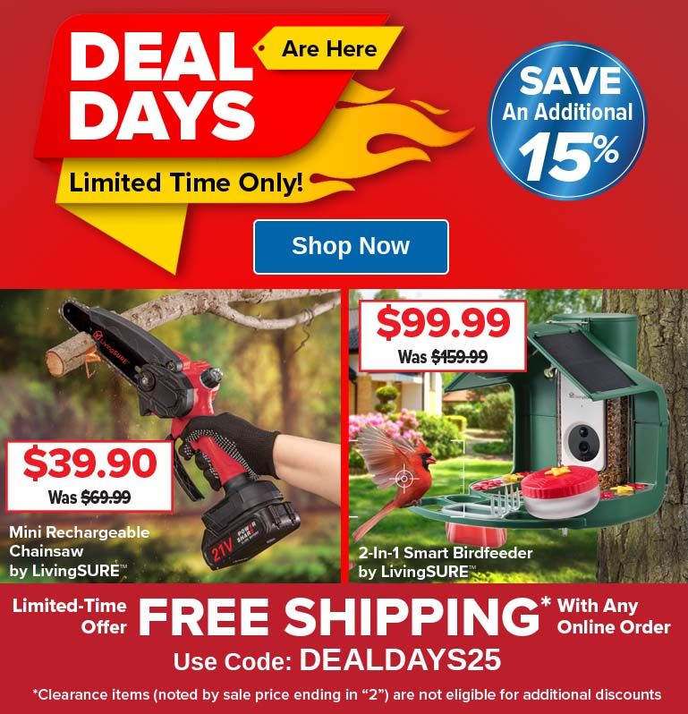 deal days sale