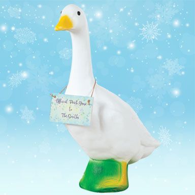 visual banner accessories