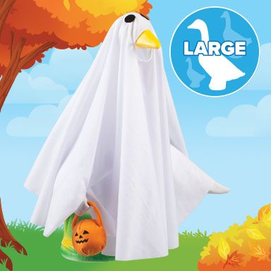 visual banner large