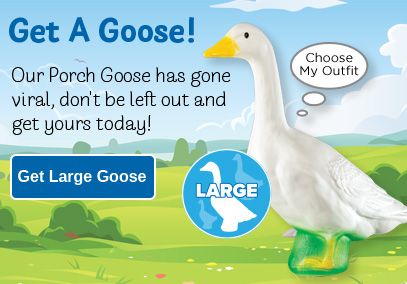 Goose