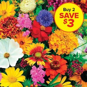 shop pre seeded mats