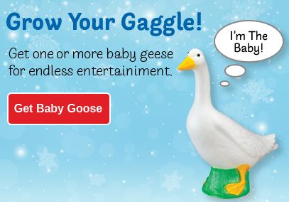 Baby Goose