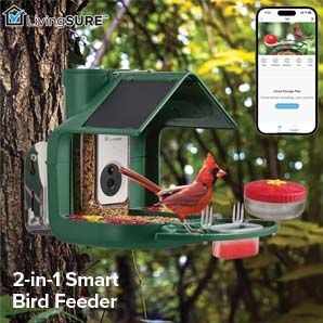 shop feeder