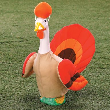 season thanksgiving image