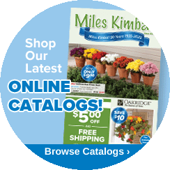 poptab digital catalog