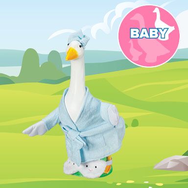 visual banner baby