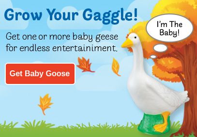 Baby Goose