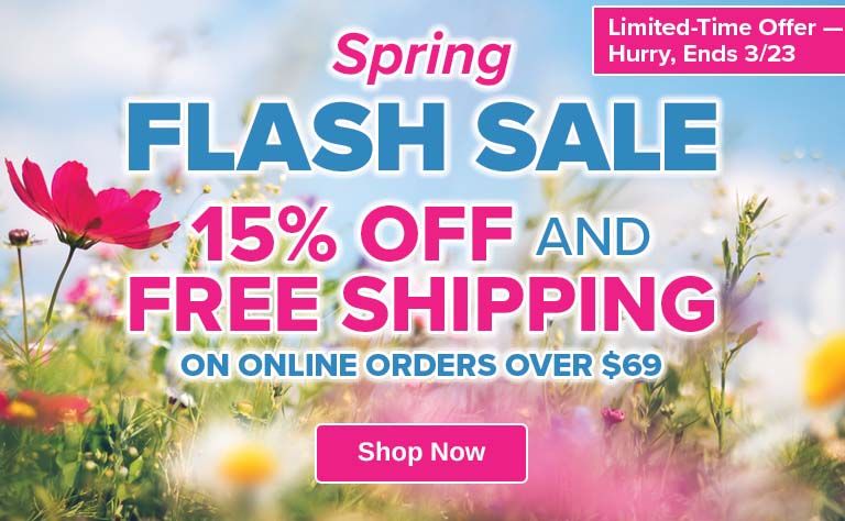 flash sale
