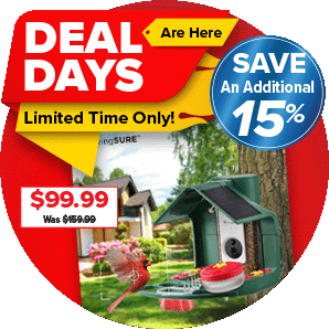 poptab deal days