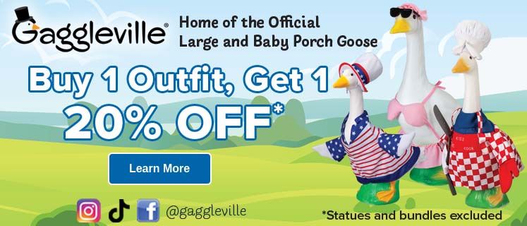Baby Goose
