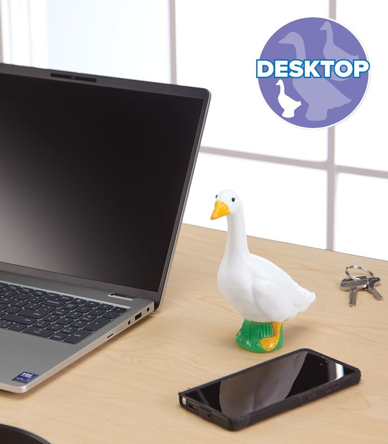 desktop statue image