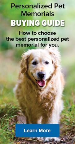 Understand Pet Memorials