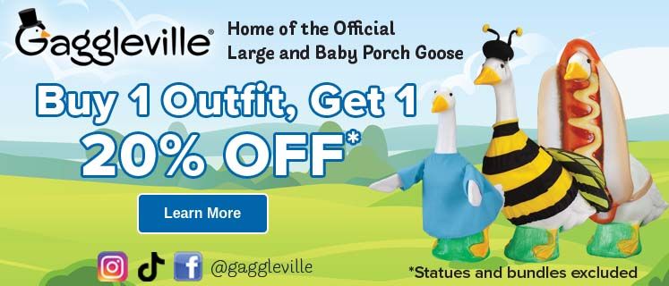 Baby Goose