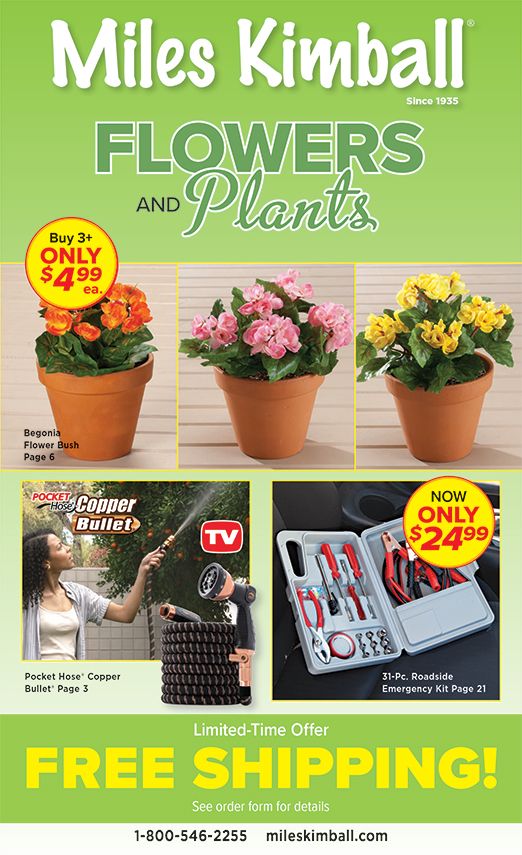 Digital Catalog Image