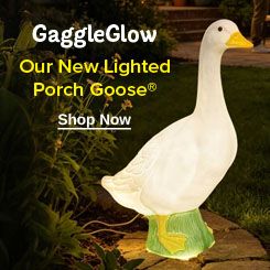visual banner lighted