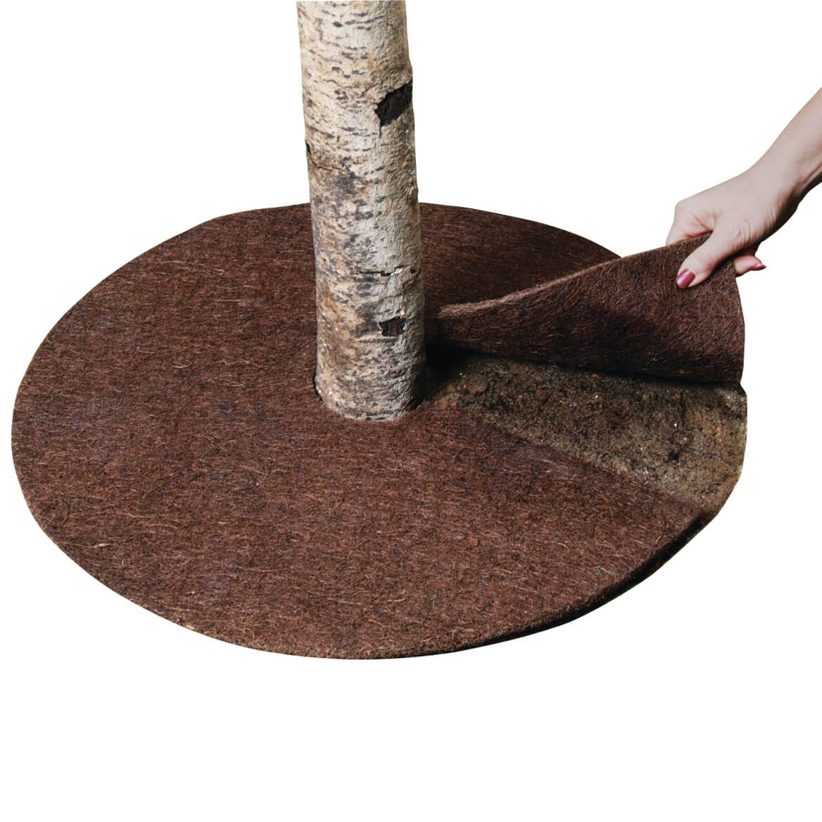24 Inch Coco Fiber Tree Ring