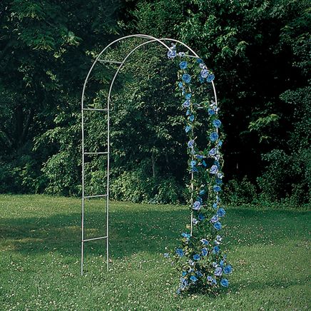 White Arched Garden Trellis-318049