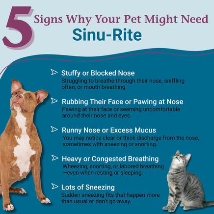 PetAlive® Sinu-Rite™-351842