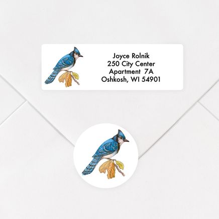 Personalized Wild Birds Address Labels and Envelope Seals Set-357546