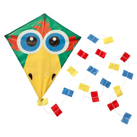 Bird Kite-358826
