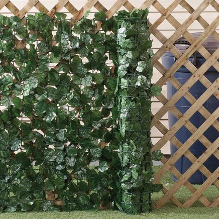 Roll Up Fence Ivy-359831