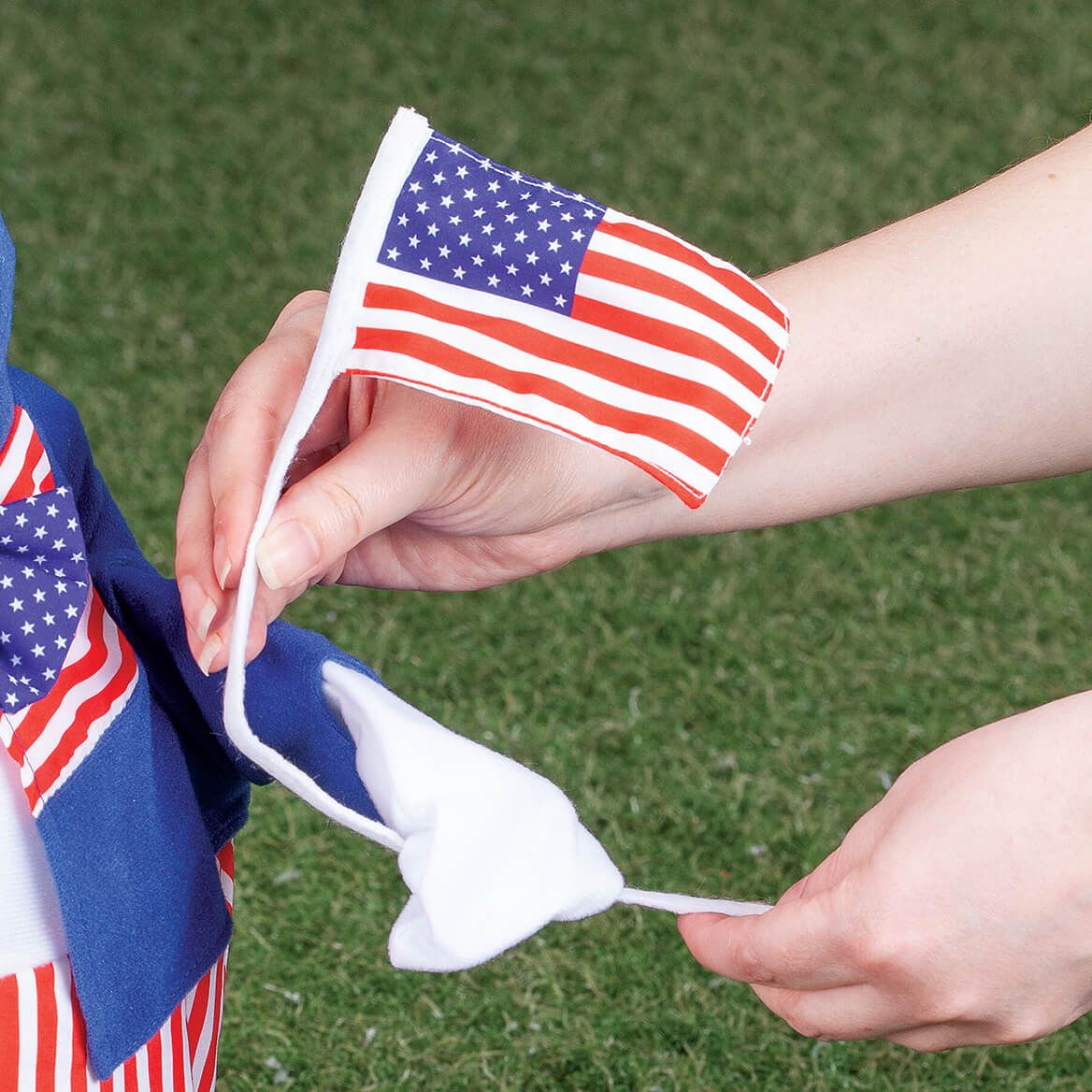 Uncle Sam Large Goose Outfit by Gaggleville®-362813