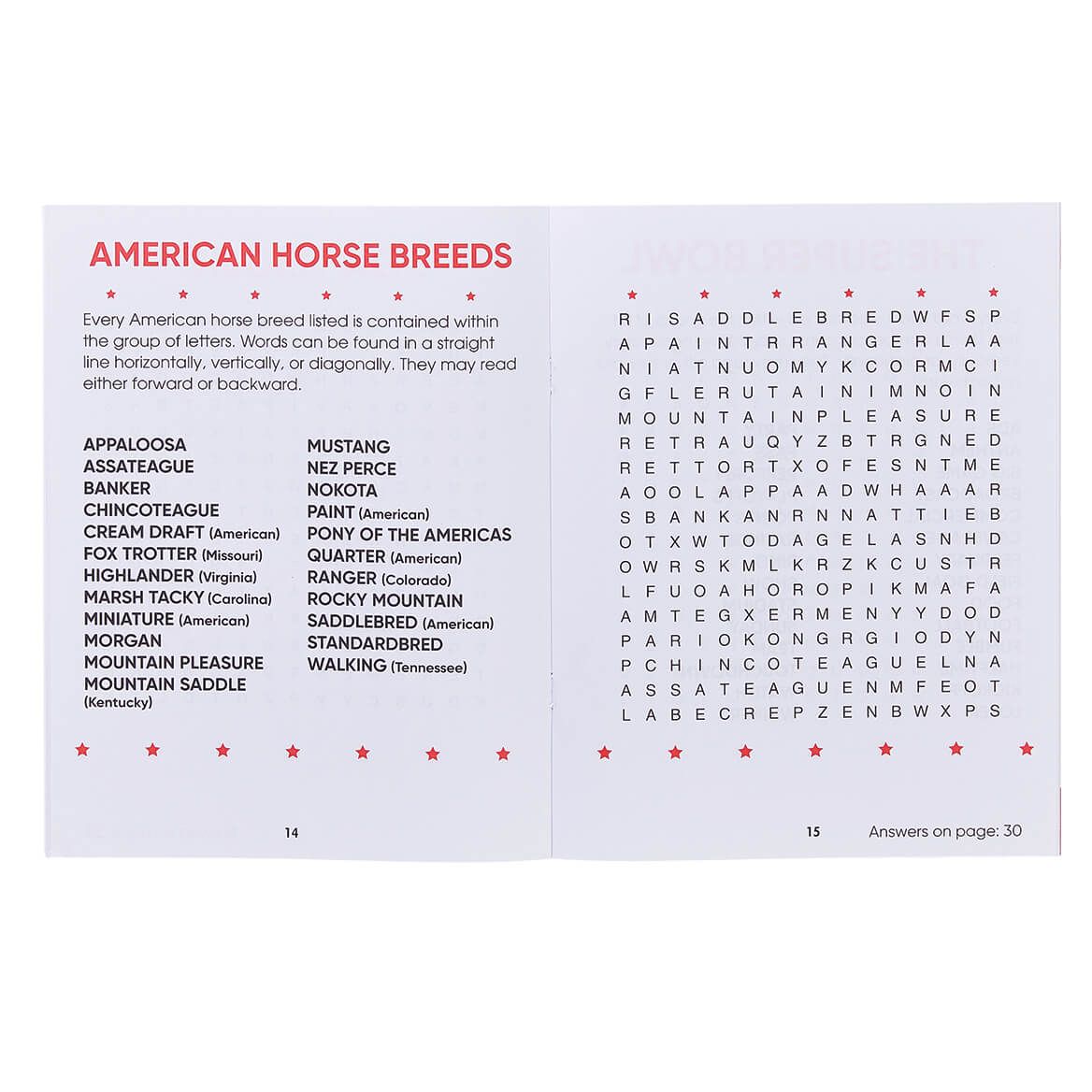Brain Games® Large Print USA Word Search Books, Set of 4-372671