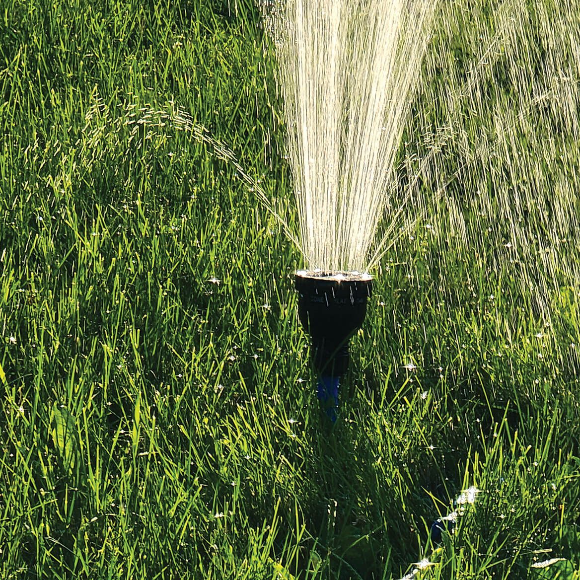 Flexible Watering Wand and Sprinkler-374052