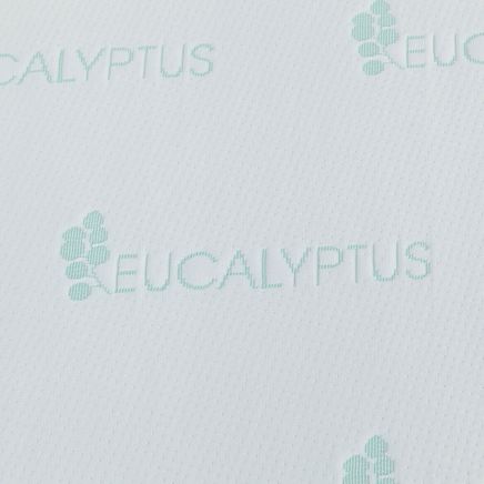 Eucalyptus Scented Mattress Cover by OakRidge™-374578