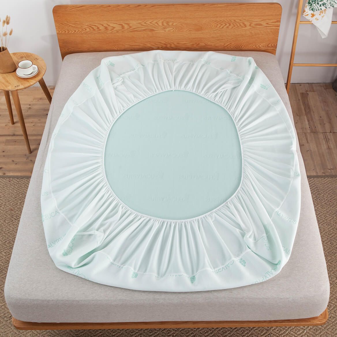 Eucalyptus Scented Mattress Cover by OakRidge™-374578