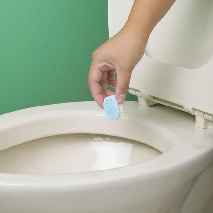 Astonish® Toilet Tabs, Set of 10-374868