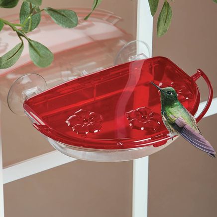 Window Hummingbird Feeder Perch-375199
