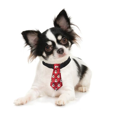 Holiday Pet Tie-375596