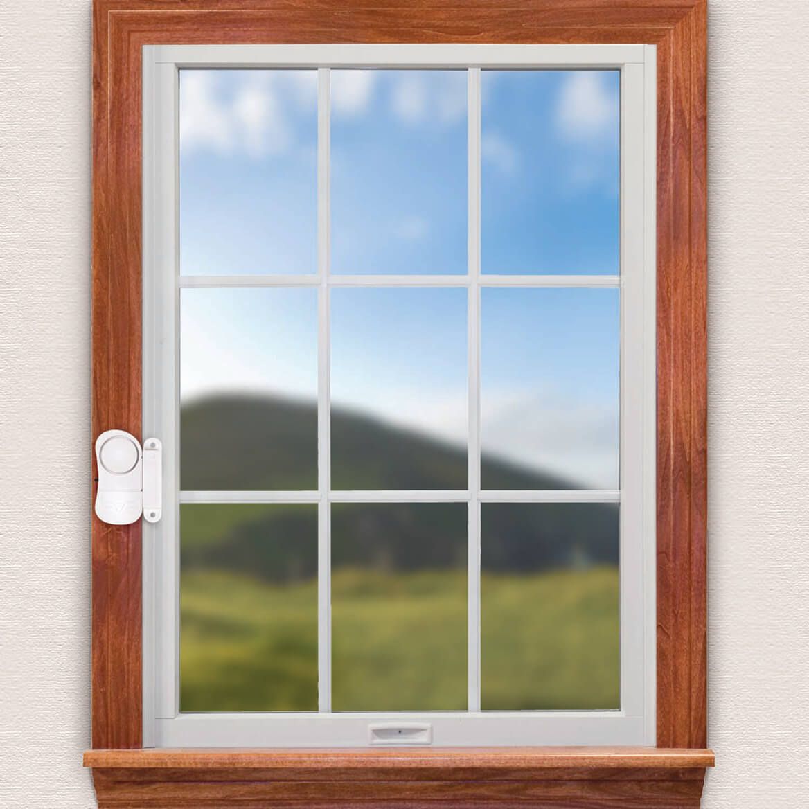 Door or Window Entry Alarms, Set of 4 by LivingSURE™-375599