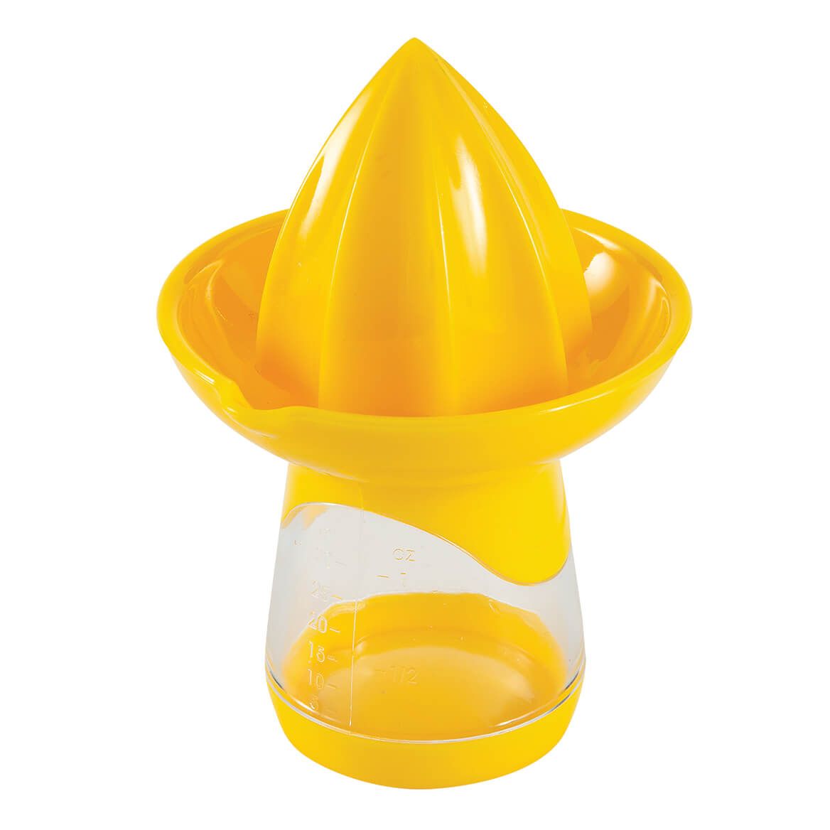 Citrus Juicer and Mister Set by Chef's Pride™-376867