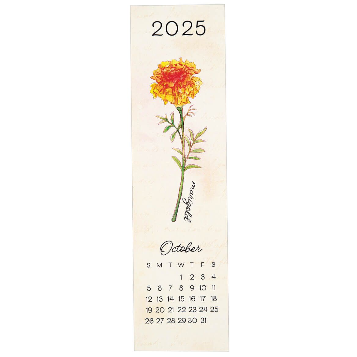Flower of the Month Bookmarks, Set of 12-377368