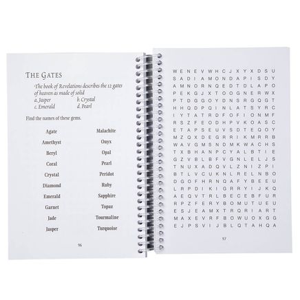 Bible Trivia Word Searches-377447