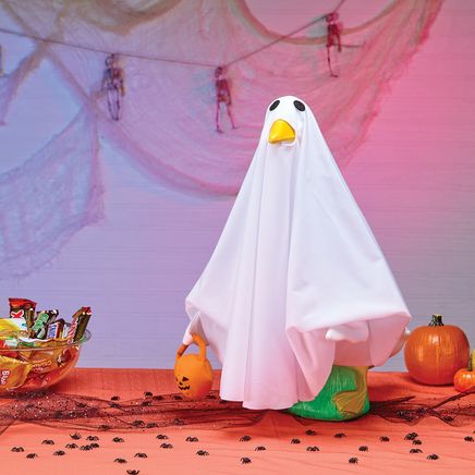 promo image