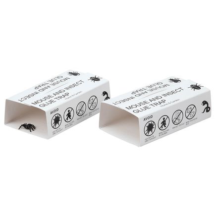 Mouse and Insect Glue Traps, Set of 2 by Scare-D-Pest™-378229