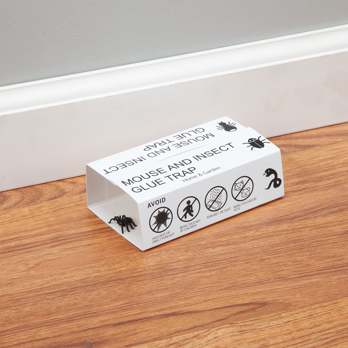 Mouse and Insect Glue Traps, Set of 10 by Scare-D-Pest™-378230
