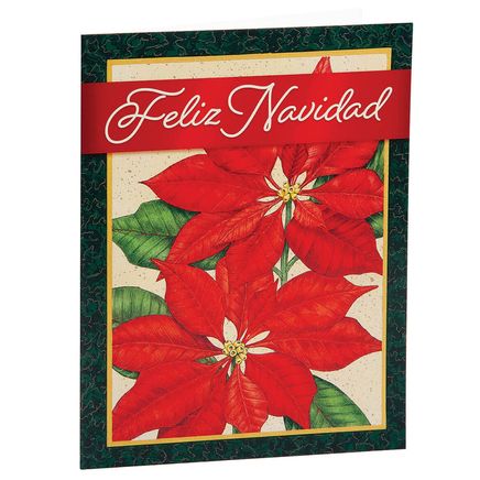 Christmas Poinsettia Spanish Language Cards, Set of 20-378266