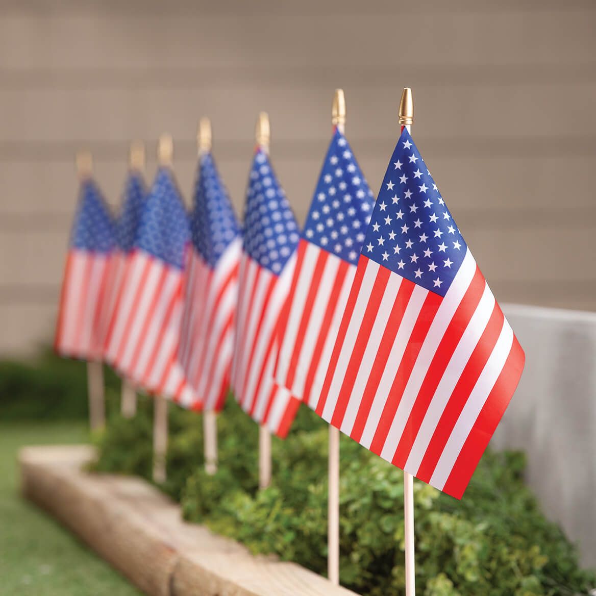Mini American Flags, Set of 12-378711