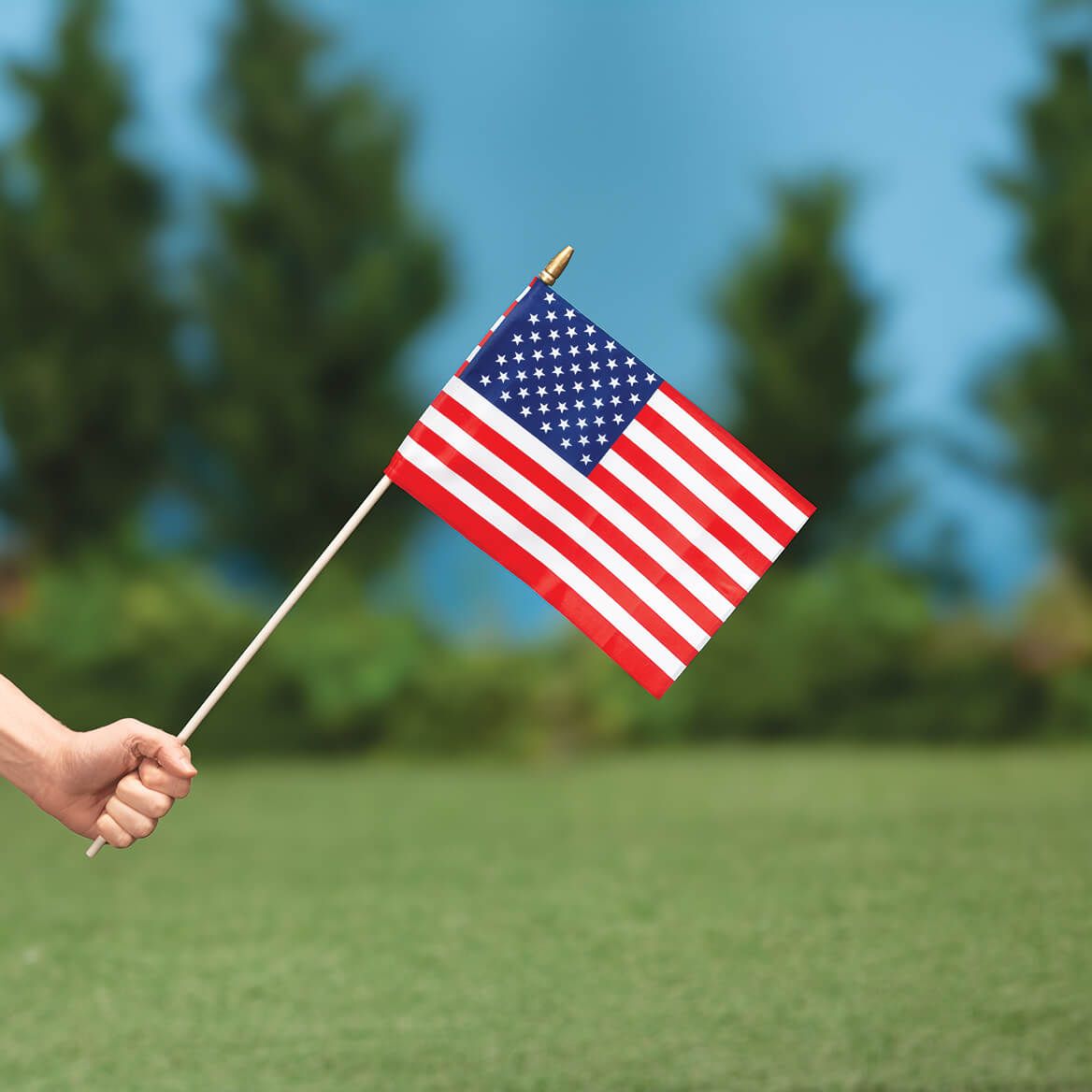 Mini American Flags, Set of 12-378711