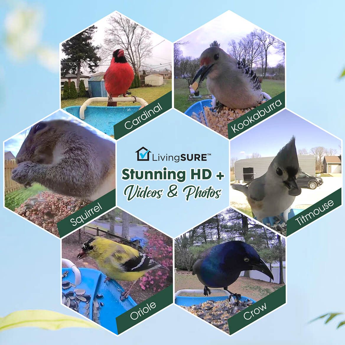 2-In-1 Smart Video Birdfeeder by LivingSURE™-378760