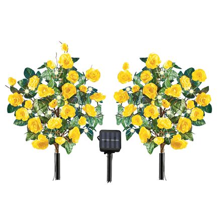 View product details for Solar Rose Stakes, Set of 2