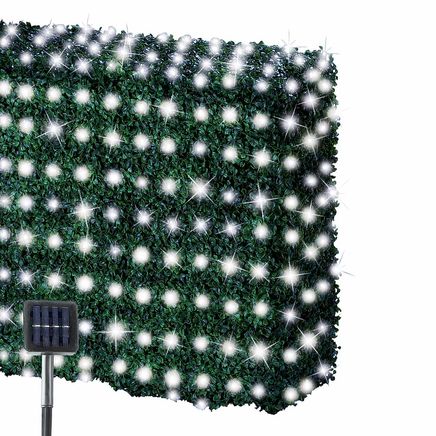 View product details for Solar LED Net Lights